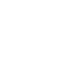 Alsesa Music