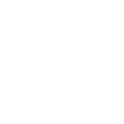 Alu Music
