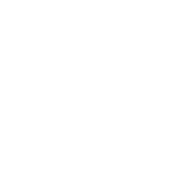 Valdivia Marketing Group